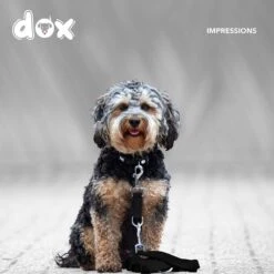 DDOXX Hondenriem Air Mesh, 3-voudig Verstelbaar, 2m | Voor Kleine & Grote Honden | Dubbele Riem Twee Honden Kat Puppy | Tug Leash Large | Lead Leash Small | Walking Leash Puppy Leash | Zwart, XS -Dieren Benodigdheden Winkel 1200x1200 1098