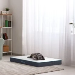 CozySense® - Orthopedisch Hondenkussen - Hondenkussen 100 X 70 Cm - Geschikt Als Benchkussen & Hondenbed - Hondenkussen Bank - Traagschuim - Waterdicht - Wasbare Hoes - Maat XL 15 CozySense® - Orthopedisch Hondenkussen - Hondenkussen 100 X 70 Cm - Geschikt Als Benchkussen & Hondenbed - Hondenkussen Bank - Traagschuim - Waterdicht - Wasbare Hoes - Maat XL -Dieren Benodigdheden Winkel 1200x1200 110