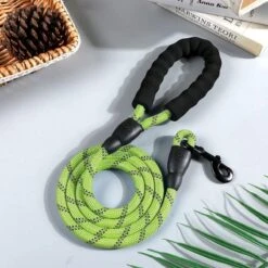 Comfortabele Hondenriem Met Gevoerd Handvat – Stevige Nylon Hondenlijn – Riem Voor Honden -Dieren Benodigdheden Winkel 1200x1200 1103