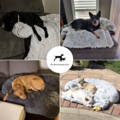 Premium Hondendeken Bank - Hondenkussens - Hondenmand Bank - Hondendeken Voor Op De Bank - Bankbeschermer - Donkergrijs 16 Premium Hondendeken Bank - Hondenkussens - Hondenmand Bank - Hondendeken Voor Op De Bank - Bankbeschermer - Donkergrijs -Dieren Benodigdheden Winkel 1200x1200 120