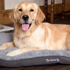 Scruffs Cosy - Comfortabel Hondenkussen In Grijs, Beige Of Karamel - Met Imitatie Suède Buitenvoering En Superzachte Binnenvoering - 100 X 70 Cm - Grijs -Dieren Benodigdheden Winkel 1200x1200 127