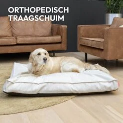 Snoozle Orthopedische Hondenmand - Zacht En Luxe Hondenkussen - Hondenbed - Wasbaar - Hondenmanden - 120 X 90 Cm - Groen 22 Snoozle Orthopedische Hondenmand - Zacht En Luxe Hondenkussen - Hondenbed - Wasbaar - Hondenmanden - 120 X 90 Cm - Groen -Dieren Benodigdheden Winkel 1200x1200 136