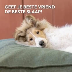 Snoozle Orthopedische Hondenmand - Zacht En Luxe Hondenkussen - Hondenbed - Wasbaar - Hondenmanden - 120 X 90 Cm - Groen 24 Snoozle Orthopedische Hondenmand - Zacht En Luxe Hondenkussen - Hondenbed - Wasbaar - Hondenmanden - 120 X 90 Cm - Groen -Dieren Benodigdheden Winkel 1200x1200 137