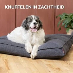Snoozle Orthopedische Hondenmand - Zacht En Luxe Hondenkussen - Hondenbed - Wasbaar - Hondenmanden - 120 X 90 Cm - Groen 26 Snoozle Orthopedische Hondenmand - Zacht En Luxe Hondenkussen - Hondenbed - Wasbaar - Hondenmanden - 120 X 90 Cm - Groen -Dieren Benodigdheden Winkel 1200x1200 138