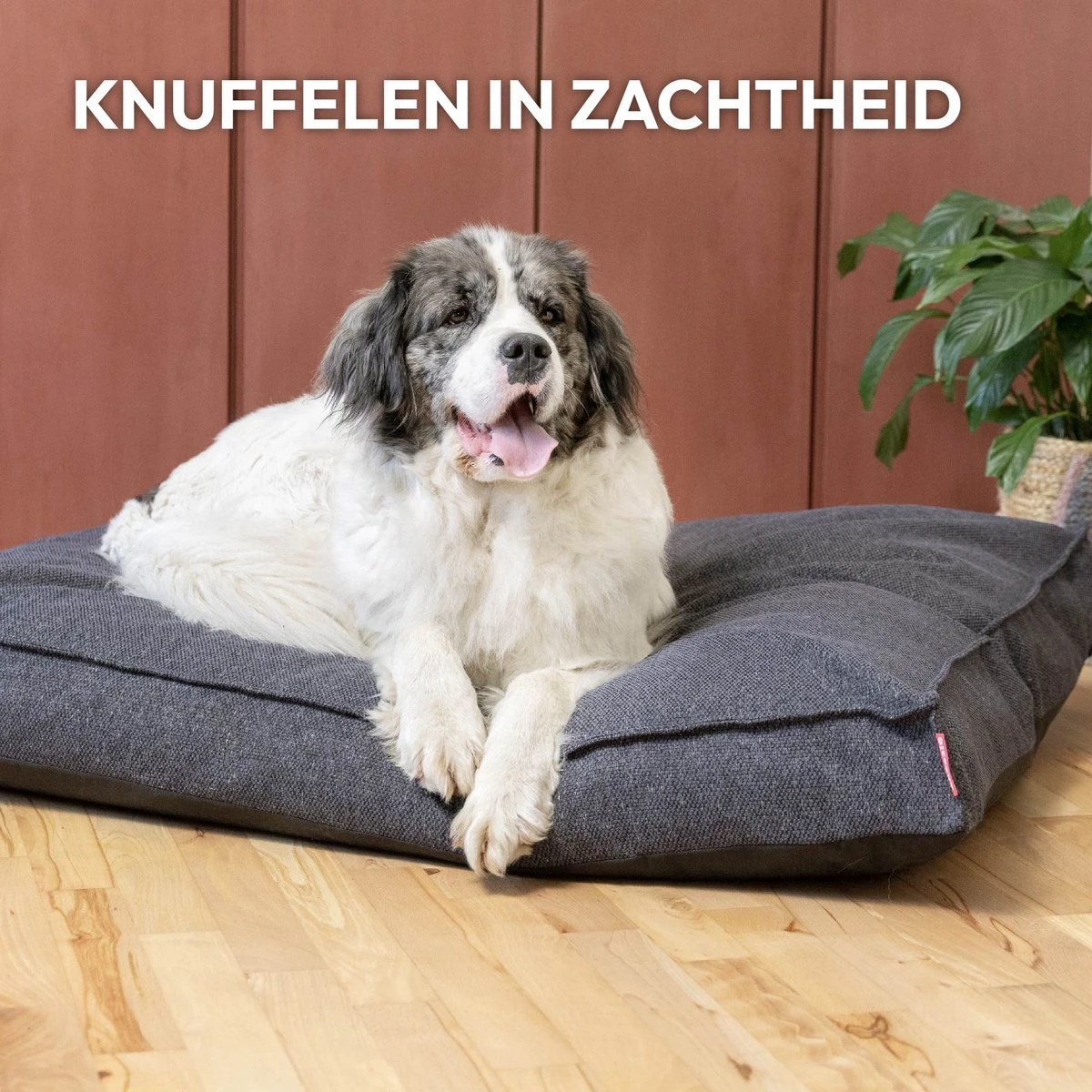 Snoozle Orthopedische Hondenmand - Zacht En Luxe Hondenkussen - Hondenbed - Wasbaar - Hondenmanden - 120 X 90 Cm - Groen 13 Snoozle Orthopedische Hondenmand - Zacht En Luxe Hondenkussen - Hondenbed - Wasbaar - Hondenmanden - 120 X 90 Cm - Groen - Afbeelding 11