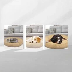 Peaceful Pooch S - Pluizig Hondenbed - 58cm Diameter - Opvouwbaar - In Verschillende Maten. Kattenbed - Wasbaar - Uitneembare Vulling - Ontspant Gewrichten En Spieren - Anti-slip Noppenbodem 10 Peaceful Pooch S - Pluizig Hondenbed - 58cm Diameter - Opvouwbaar - In Verschillende Maten. Kattenbed - Wasbaar - Uitneembare Vulling - Ontspant Gewrichten En Spieren - Anti-slip Noppenbodem -Dieren Benodigdheden Winkel 1200x1200 141