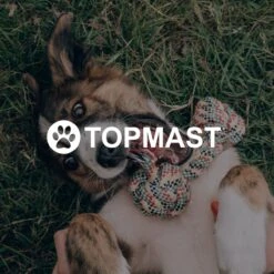 Topmast Waterproof Benchkussen - Nylon - Zwart - 90 X 60 Cm - Benchmat - Benchmatras - Waterafstotend - Hondenkussen -Dieren Benodigdheden Winkel 1200x1200 146