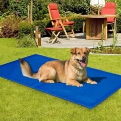 Koeling Mat Voor Huisdieren - 60 X 80 Cm -Dieren Benodigdheden Winkel 1200x1200 148