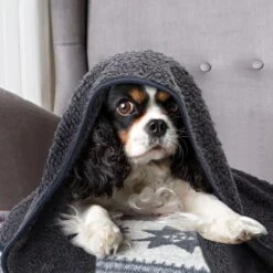 Nobleza 40UWK Hondendeken - Dierenmat - Benchkleed - 120x100cm - Grijs -Dieren Benodigdheden Winkel 1200x1200 161