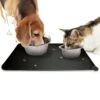 Winkrs - Placemat Voor Voerbak Van Hond Of Kat Huisdieren - Zwart Siliconen Waterdicht 1 Winkrs - Placemat Voor Voerbak Van Hond Of Kat Huisdieren - Zwart Siliconen Waterdicht -Dieren Benodigdheden Winkel 1200x1200 169