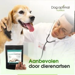 RUST EN KALMEREN CALMING Support 90 Stuks - Kalmeren - Antistressmiddel - Hond - Hondenkoekjes - Hondensupplementen - Honden - Puppy - Hondenvoeding -Dieren Benodigdheden Winkel 1200x1200 195