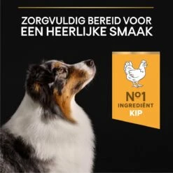 Pro Plan Medium & Large Adult 7+ (Senior) Age Defence - Honden Droogvoer- Kip - 14 Kg -Dieren Benodigdheden Winkel 1200x1200 201