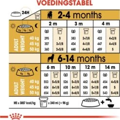 Royal Canin Rottweiler Junior 12 KG -Dieren Benodigdheden Winkel 1200x1200 203