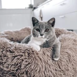 District 70 FUZZ - Hondenmand Comfortabel En Zacht Pluche - Zand, Oudroze, Donkergrijs En Lichtgrijs In S/M/L/XL - Maat: Medium, Kleur: Zand -Dieren Benodigdheden Winkel 1200x1200 21