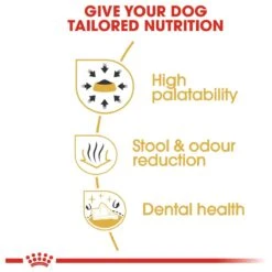 Royal Canin Chihuahua 3 KG -Dieren Benodigdheden Winkel 1200x1200 216