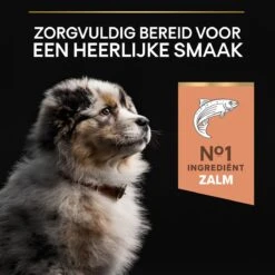 Pro Plan Medium Puppy Sensitive Skin - Honden Droogvoer - Zalm - 12 Kg -Dieren Benodigdheden Winkel 1200x1200 225