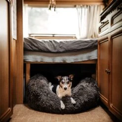 District 70 FUZZ - Hondenmand Comfortabel En Zacht Pluche - Zand, Oudroze, Donkergrijs En Lichtgrijs In S/M/L/XL - Maat: Medium, Kleur: Zand -Dieren Benodigdheden Winkel 1200x1200 24