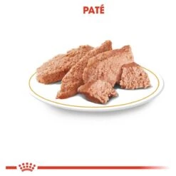 Royal Canin Chihuahua Pouch (12X85 GR) 13 Royal Canin Chihuahua Pouch (12X85 GR) -Dieren Benodigdheden Winkel 1200x1200 243