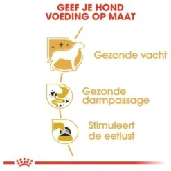 Royal Canin Chihuahua Pouch (12X85 GR) 14 Royal Canin Chihuahua Pouch (12X85 GR) -Dieren Benodigdheden Winkel 1200x1200 244