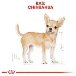 Royal Canin Chihuahua Pouch (12X85 GR) 15 Royal Canin Chihuahua Pouch (12X85 GR) -Dieren Benodigdheden Winkel 1200x1200 245