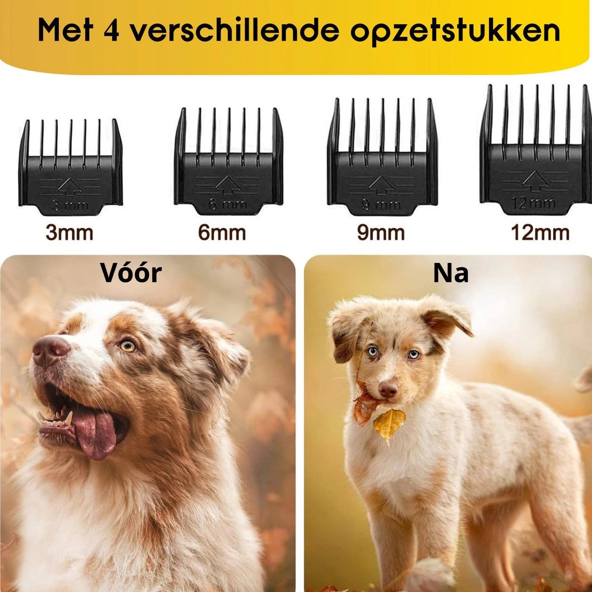 AVE Pets® Volledige Hondentondeuse Set Met Display - Draadloos Tondeuse - Scheerapparaat Voor Je Hond Of Kat - Huisdier Trimmer - Dierentondeuse - Dieren Verzorging 6 AVE Pets® Volledige Hondentondeuse Set Met Display - Draadloos Tondeuse - Scheerapparaat Voor Je Hond Of Kat - Huisdier Trimmer - Dierentondeuse - Dieren Verzorging - Afbeelding 5