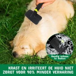 Mister Mill Professionele Set Slicker Honden Kattenborstel Plus Nagelknipper Plus Ondervacht Kam -Dieren Benodigdheden Winkel 1200x1200 256