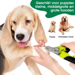 Mister Mill Professionele Set Slicker Honden Kattenborstel Plus Nagelknipper Plus Ondervacht Kam -Dieren Benodigdheden Winkel 1200x1200 263