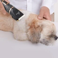 Tjilla Professionele Dieren/honden Tondeuse Set Extra Krachtig - Honden Trimmer - Lang Of Kortharige Huisdieren Katten & Honden - Draadloos - Weinig Geluid -Dieren Benodigdheden Winkel 1200x1200 270