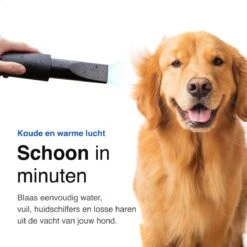 Vivid Green Waterblazer Met 3 Opzetstukken - Hondenfohn - Voor Honden - Met Geluiddemper - 2800W -Dieren Benodigdheden Winkel 1200x1200 277