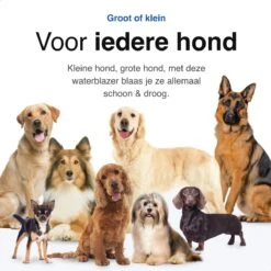 Vivid Green Waterblazer Met 3 Opzetstukken - Hondenfohn - Voor Honden - Met Geluiddemper - 2800W -Dieren Benodigdheden Winkel 1200x1200 281