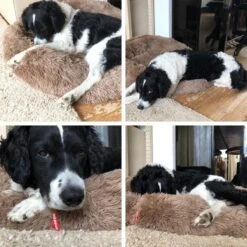 Snoozle Donut Hondenmand - Zacht En Luxe Hondenkussen - Wasbaar - Fluffy - Hondenmanden - 80cm - Creme Bruin -Dieren Benodigdheden Winkel 1200x1200 30