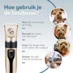BYER Professionele Dieren Tondeuse Set - Voor Huisdieren Katten & Honden - Draadloos - Oplaadbare Pet Trimmer - Dog Tondeuze Clipper - 5 Standen & Vier Opzetkammen - Low Noise -Dieren Benodigdheden Winkel 1200x1200 321