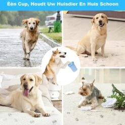 Merkloos Hondenpoot Reiniger - Hondenborstel - Borstel Hond / Kat - Hondenpoten Reiniger - Huisdier Poot Wassen - Borstel - Hondenverzorging - Verzorging Hond - Honden Wassen - Schoonmaak Borstel - Kattenborstel 13 Merkloos Hondenpoot Reiniger - Hondenborstel - Borstel Hond / Kat - Hondenpoten Reiniger - Huisdier Poot Wassen - Borstel - Hondenverzorging - Verzorging Hond - Honden Wassen - Schoonmaak Borstel - Kattenborstel -Dieren Benodigdheden Winkel 1200x1200 324