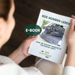 De Blaffende Kat Wasdrogerbollen - Droger Ballen - Huisdier Haarverwijderaar - 4 Wasbollen Voor Wasmachine En Droger -Dieren Benodigdheden Winkel 1200x1200 327