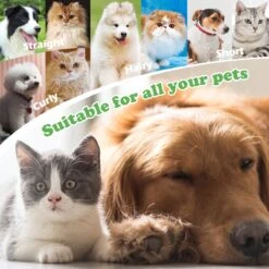 Merkloos Nobleza Dierenborstel - Hondenborstel - Kattenborstel - Tweezijdig - Dubbelzijdig - Hout - Maat L 16 Merkloos Nobleza Dierenborstel - Hondenborstel - Kattenborstel - Tweezijdig - Dubbelzijdig - Hout - Maat L -Dieren Benodigdheden Winkel 1200x1200 352