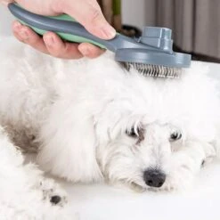 Pakeway Kattenborstel – Hondenborstel – Haarverwijderaar Voor Huisdieren – Kattenkam - Kortharig - Langharig - Inclusief Ebook! -Dieren Benodigdheden Winkel 1200x1200 431