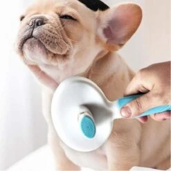 Merkloos Dierenborstel - Haarborstel Huisdieren - Borstel Voor Vacht Huisdier - Borstel Kat - Borstel Hond - Makkelijk Haar Verwijderen Met één Klik - Inclusief Speeltje - Kam Huisdier - Vachtverzorging - Massage 27 Merkloos Dierenborstel - Haarborstel Huisdieren - Borstel Voor Vacht Huisdier - Borstel Kat - Borstel Hond - Makkelijk Haar Verwijderen Met één Klik - Inclusief Speeltje - Kam Huisdier - Vachtverzorging - Massage -Dieren Benodigdheden Winkel 1200x1200 442