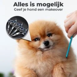 VoordeelShop 7-Delige Huisdier Knipset Met Etui - Trimmen Hond - Honden Schaar - Effileerschaar Hond - Huisdier Trimmer - Huisdier Knippen - Knipschaar Haar - Haar Schaar - Kapper - Kapperset - Scharenset -Dieren Benodigdheden Winkel 1200x1200 467
