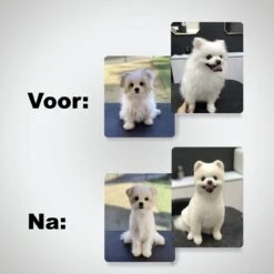 VoordeelShop 7-Delige Huisdier Knipset Met Etui - Trimmen Hond - Honden Schaar - Effileerschaar Hond - Huisdier Trimmer - Huisdier Knippen - Knipschaar Haar - Haar Schaar - Kapper - Kapperset - Scharenset -Dieren Benodigdheden Winkel 1200x1200 472