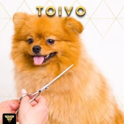 Toivo Schaar Voor Dieren - Zilver - Effileerscharen - Honden Scharenset - Dierenschaar - Set 5 Stuks - Trimscharen - Trimset - Uitdunschaar Hond - Schaar Honden 17 Toivo Schaar Voor Dieren - Zilver - Effileerscharen - Honden Scharenset - Dierenschaar - Set 5 Stuks - Trimscharen - Trimset - Uitdunschaar Hond - Schaar Honden -Dieren Benodigdheden Winkel 1200x1200 479