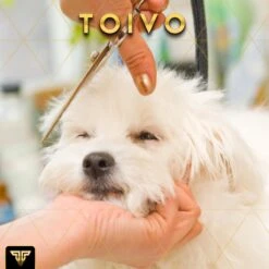 Toivo Schaar Voor Dieren - Zilver - Effileerscharen - Honden Scharenset - Dierenschaar - Set 5 Stuks - Trimscharen - Trimset - Uitdunschaar Hond - Schaar Honden 18 Toivo Schaar Voor Dieren - Zilver - Effileerscharen - Honden Scharenset - Dierenschaar - Set 5 Stuks - Trimscharen - Trimset - Uitdunschaar Hond - Schaar Honden -Dieren Benodigdheden Winkel 1200x1200 480