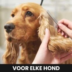 Hondentondeuse - Honden & Katten - Trimmer - Geluidsloos -Dieren Benodigdheden Winkel 1200x1200 489