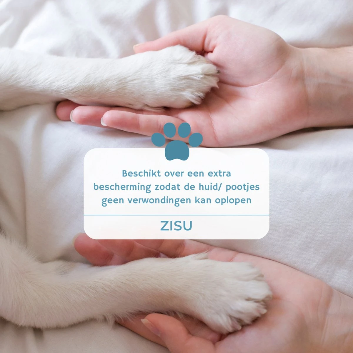 Hondentondeuse - Hondentrimmer - Dieren Tondeuse - Draadloos - 4 Opzetkammen - INCLUSIEF SNACKJE - Zwart 9 Hondentondeuse - Hondentrimmer - Dieren Tondeuse - Draadloos - 4 Opzetkammen - INCLUSIEF SNACKJE - Zwart - Afbeelding 7