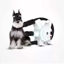 Hondenfohn - Waterblazer Met Draaiknop - 2400W Vermogen Met Warme En Koude Stand - Wit 25 Hondenfohn - Waterblazer Met Draaiknop - 2400W Vermogen Met Warme En Koude Stand - Wit -Dieren Benodigdheden Winkel 1200x1200 502