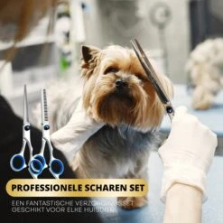 BeautyFit - 16-delig Hondentondeuse Set - Professionele Honden Trimset - Dieren Tondeuse Voor Dikke Vacht - Meest Complete Set - Inclusief 4 Opzetkammen - Hondenschaar - Mist Verstuiver - Handschoen Borstel - Nagelknipper 15 BeautyFit - 16-delig Hondentondeuse Set - Professionele Honden Trimset - Dieren Tondeuse Voor Dikke Vacht - Meest Complete Set - Inclusief 4 Opzetkammen - Hondenschaar - Mist Verstuiver - Handschoen Borstel - Nagelknipper -Dieren Benodigdheden Winkel 1200x1200 554