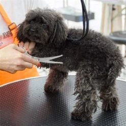 Merkloos Premium Gebogen Trimschaar Honden - Huisdier Trimmen - Hoofd, Poten Ogen & Oren - Kat & Hond Knippen - Veilige Schaar -Dieren Benodigdheden Winkel 1200x1200 556