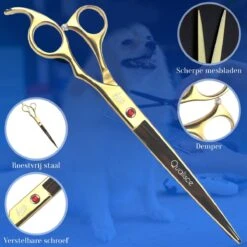Scharenset Hond - 8-Delige Scharenset - Hondenschaar - Trimset - Trimschaar Voor Honden - Huisdier Knipset - Effileerschaar Hond - Goud -Dieren Benodigdheden Winkel 1200x1200 570