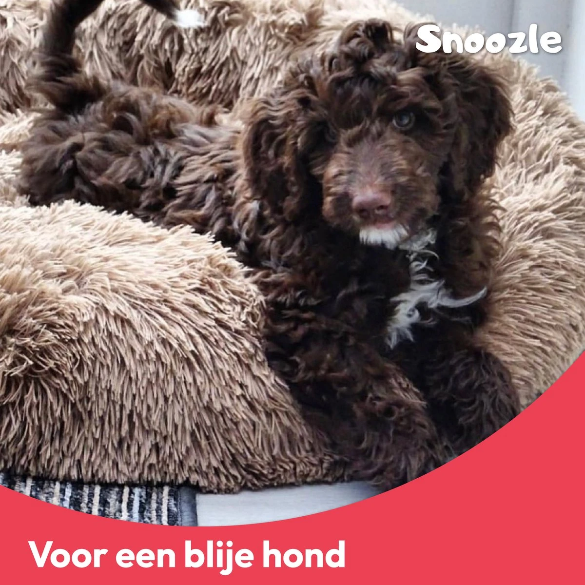 Snoozle Donut Hondenmand - Zacht En Luxe Hondenkussen - Wasbaar - Fluffy - Hondenmanden - 100cm - XXL - Dark Coffee 11 Snoozle Donut Hondenmand - Zacht En Luxe Hondenkussen - Wasbaar - Fluffy - Hondenmanden - 100cm - XXL - Dark Coffee - Afbeelding 9