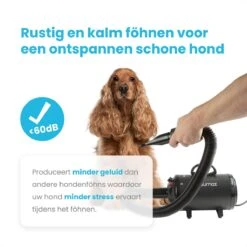 Qumax Professionele Hondenföhn Met 4 Opzetstukken – Waterblazer Voor Honden – Stil Design – Compact En Modern - Zwart -Dieren Benodigdheden Winkel 1200x1200 588