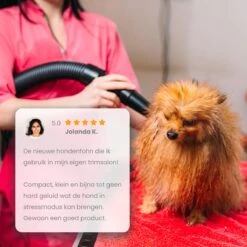 Qumax Professionele Hondenföhn Met 4 Opzetstukken – Waterblazer Voor Honden – Stil Design – Compact En Modern - Zwart -Dieren Benodigdheden Winkel 1200x1200 591